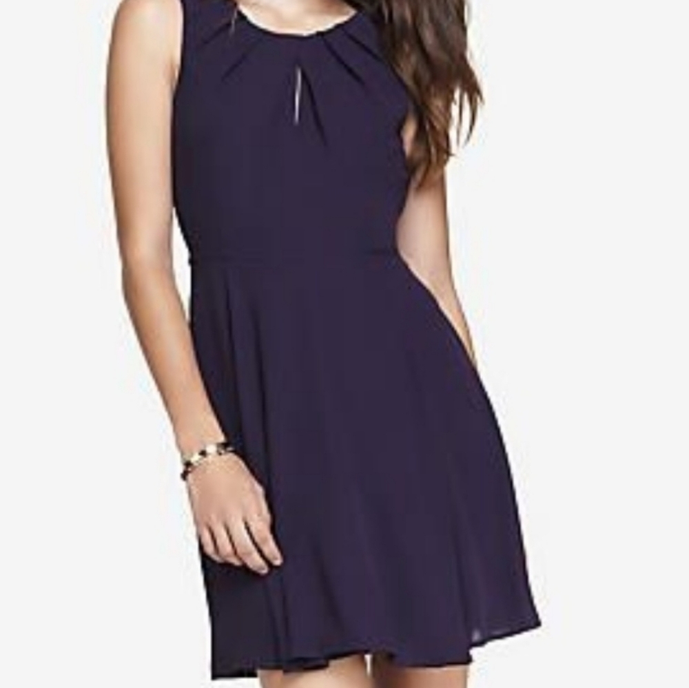 Express Chiffon Fit & Flare Dress